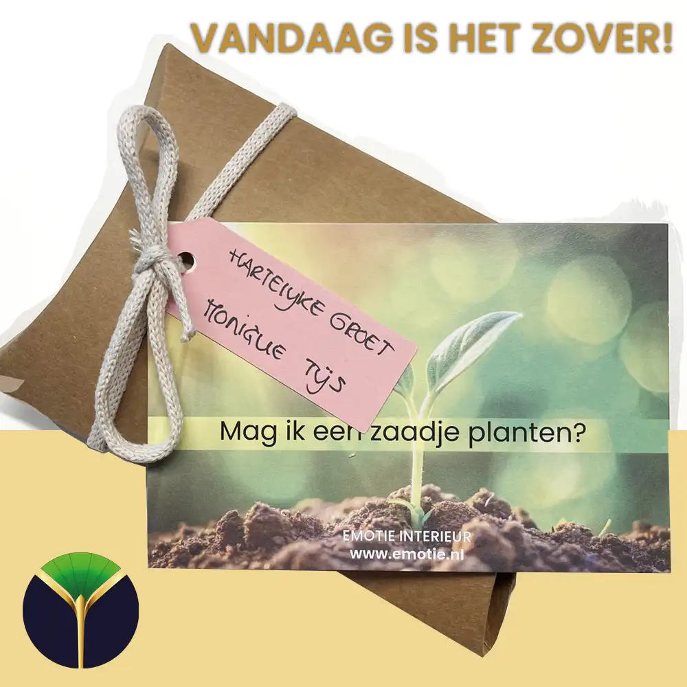 Vandaag is het zover: de allereerste dag van mijn campagne!