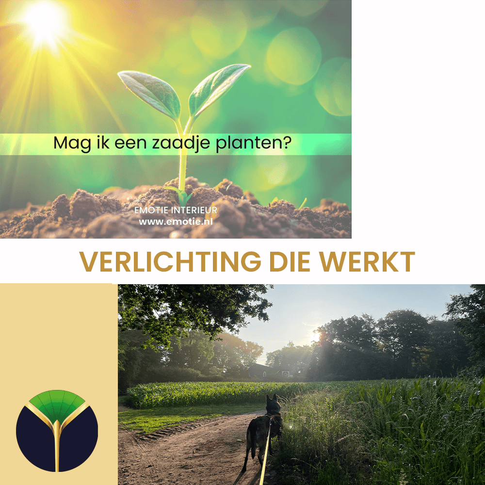 Verlichting die werkt – letterlijk én figuurlijk