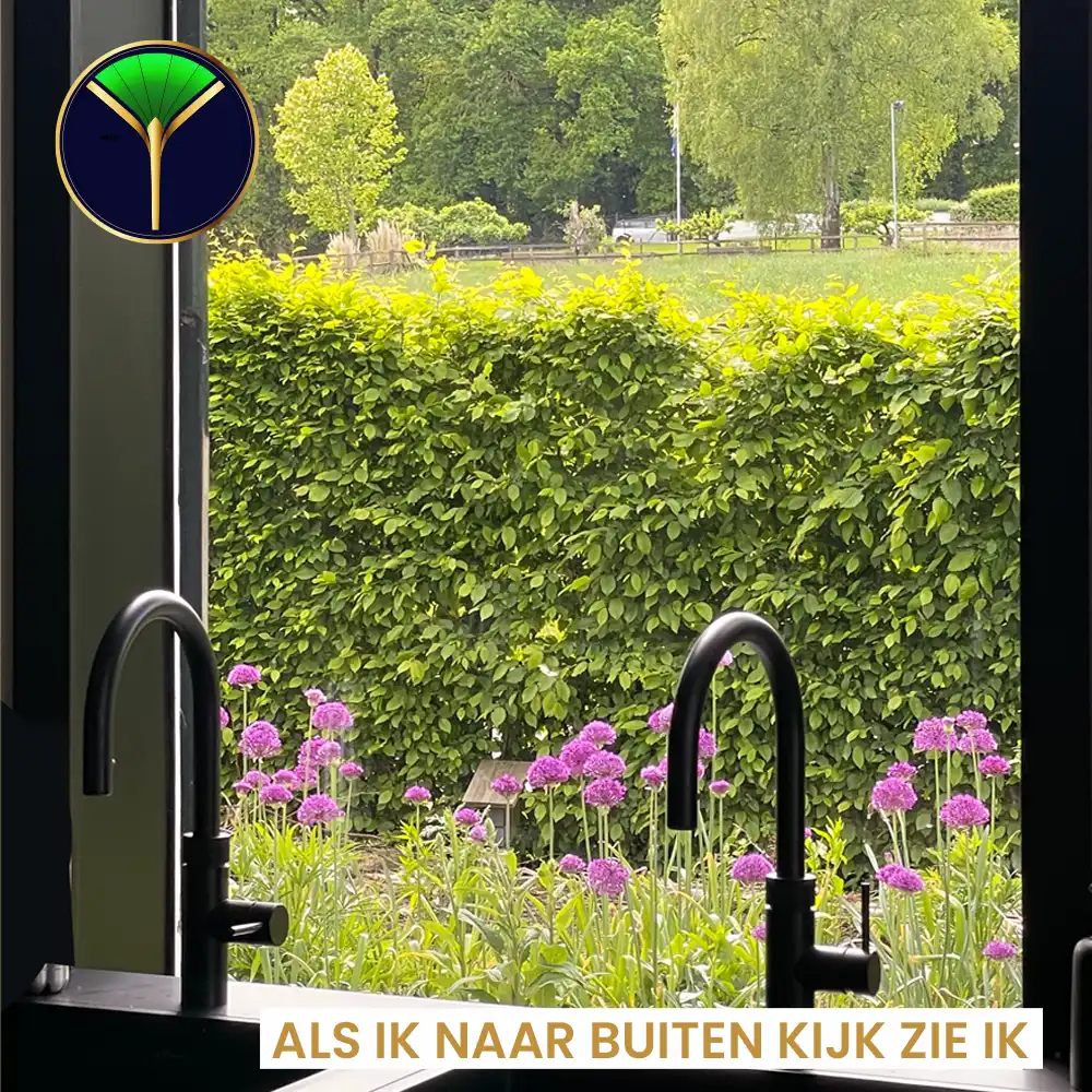 Daglicht is goud waard!